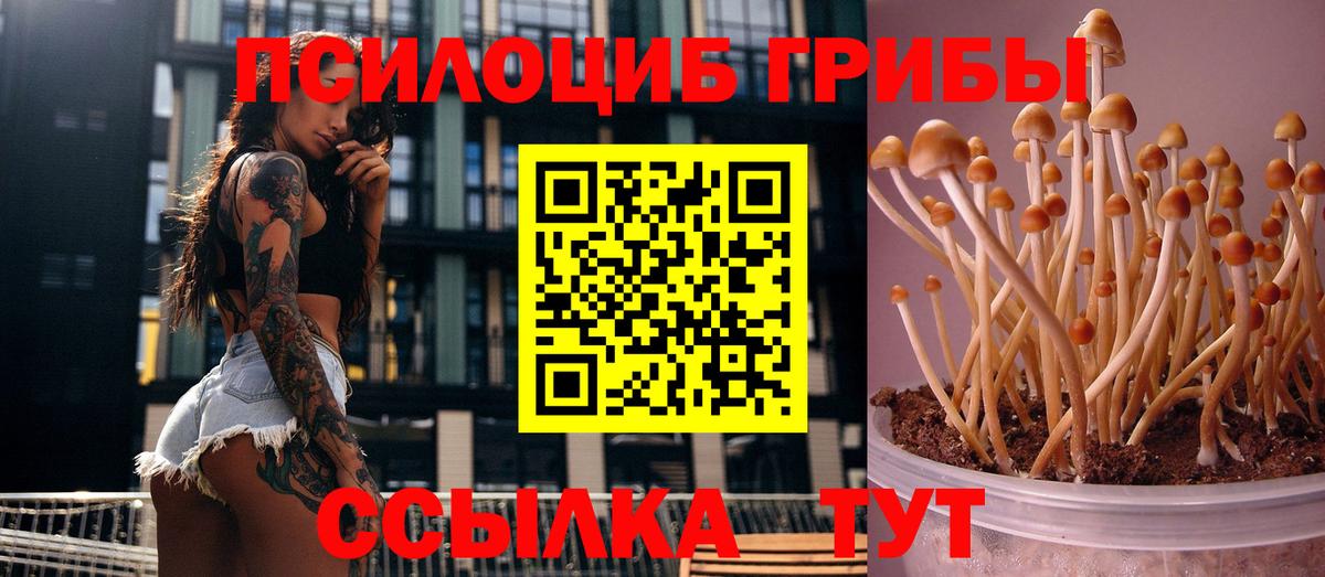 Галлюциногенные грибы мухоморы Калуга