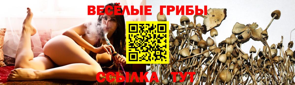 Псилоцибиновые грибы MAGIC MUSHROOMS  наркота  Калуга  Вход с VPN 
